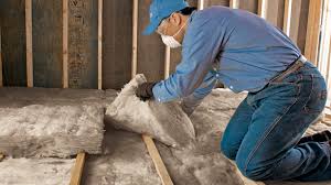 Best Wall Insulation Installation  in Eggertsville, NY