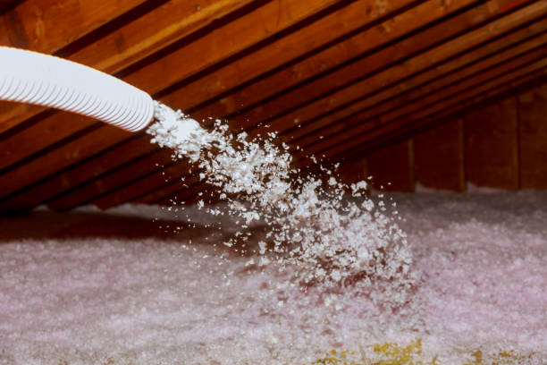 Best Garage Insulation  in Eggertsville, NY